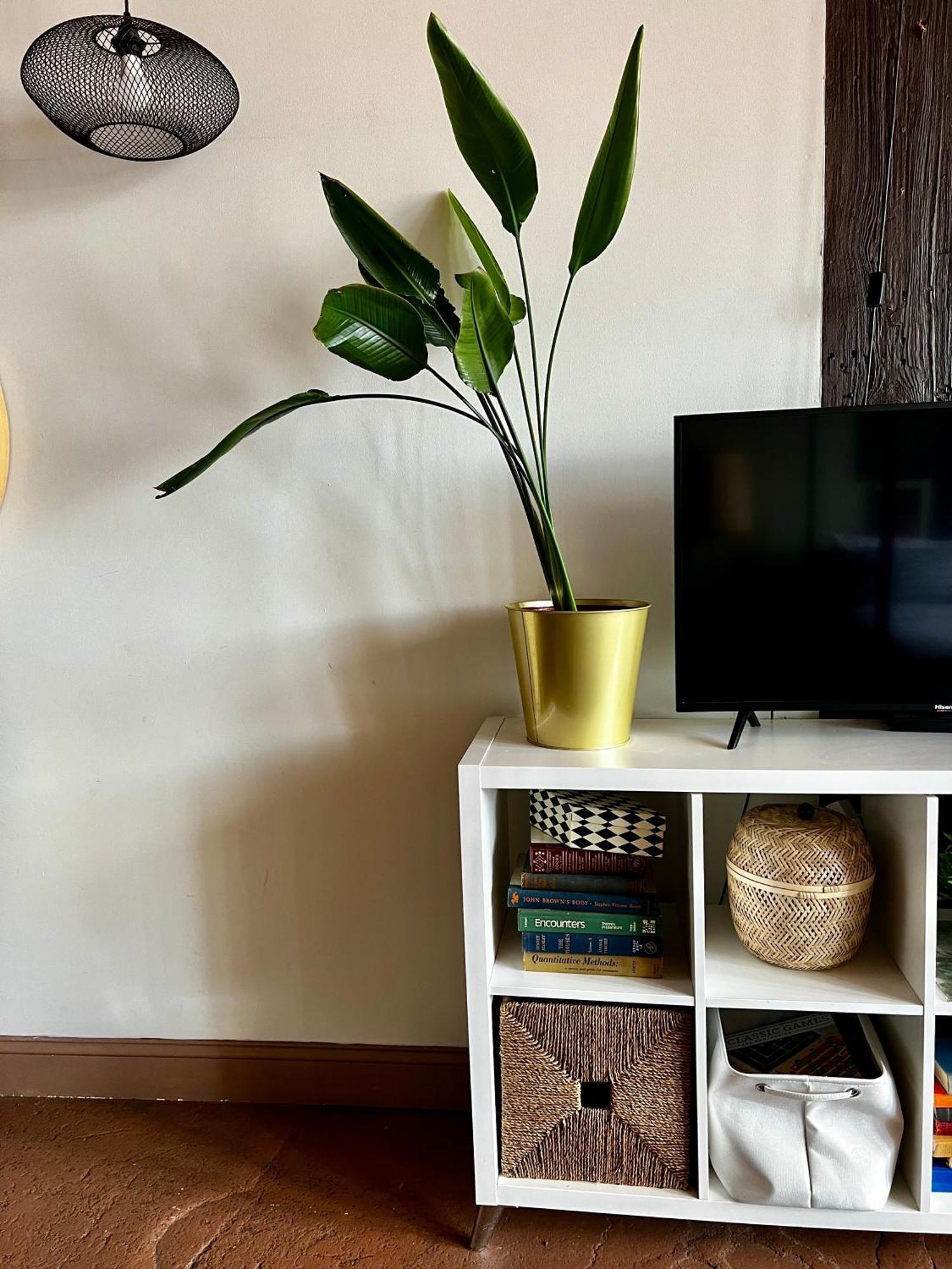 420 Friendly Boho Loft Downtown King Suite Free Parking Detroit Exteriör bild